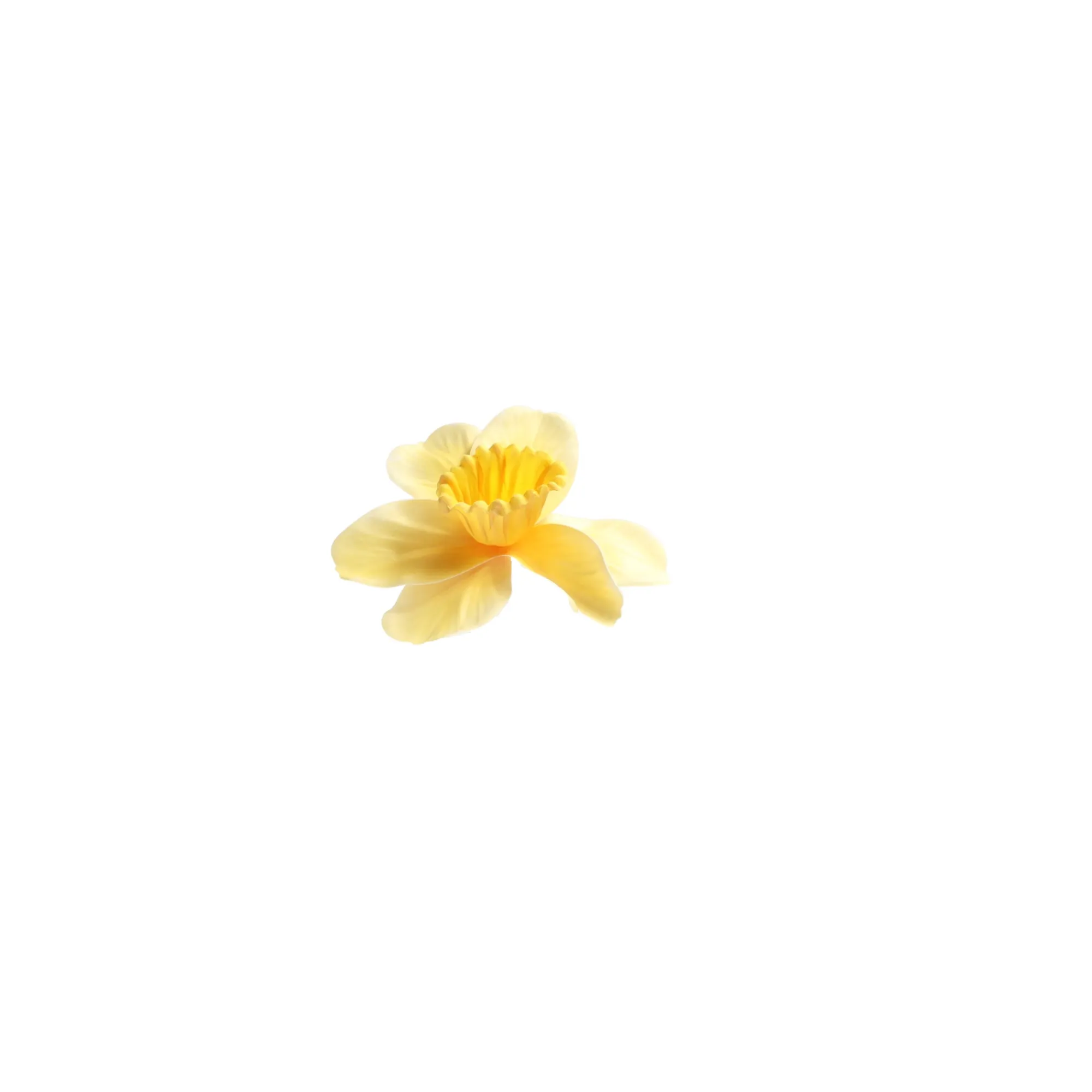 Decoris Kunstplanten En Kunstbloemen>Narcis 39 cm