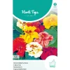 Horti Tops Moestuin>Oost-Indische Kers Jewel