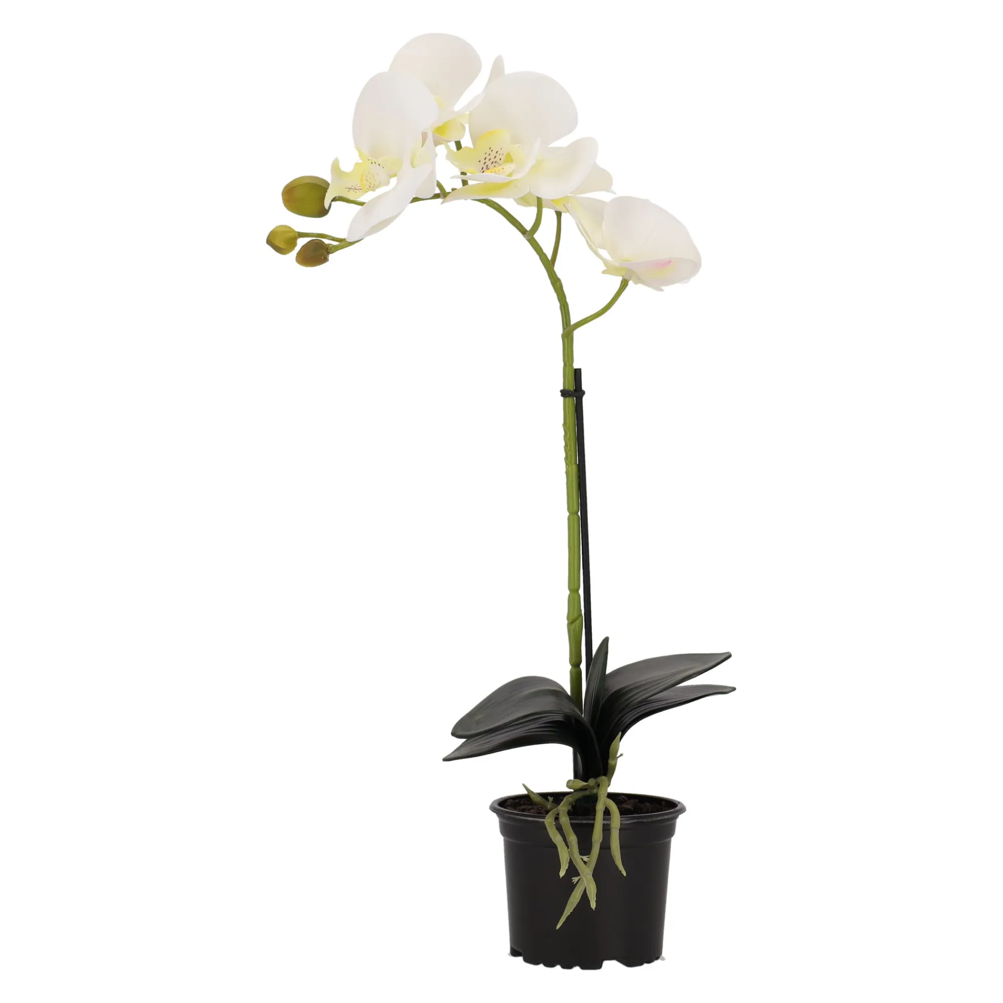 Natural Collections Kunstplanten En Kunstbloemen>Orchidee 38 cm wit