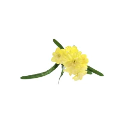 Kunstplanten En Kunstbloemen><noscript><img width=