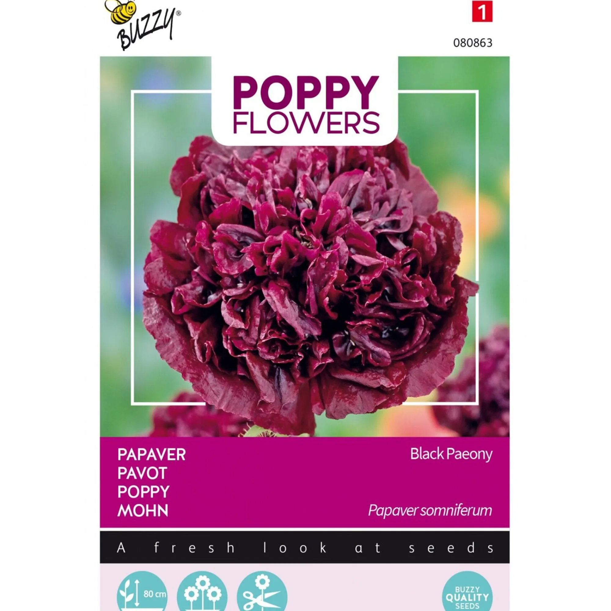 Buzzy Moestuin>Papaver Black Paeony