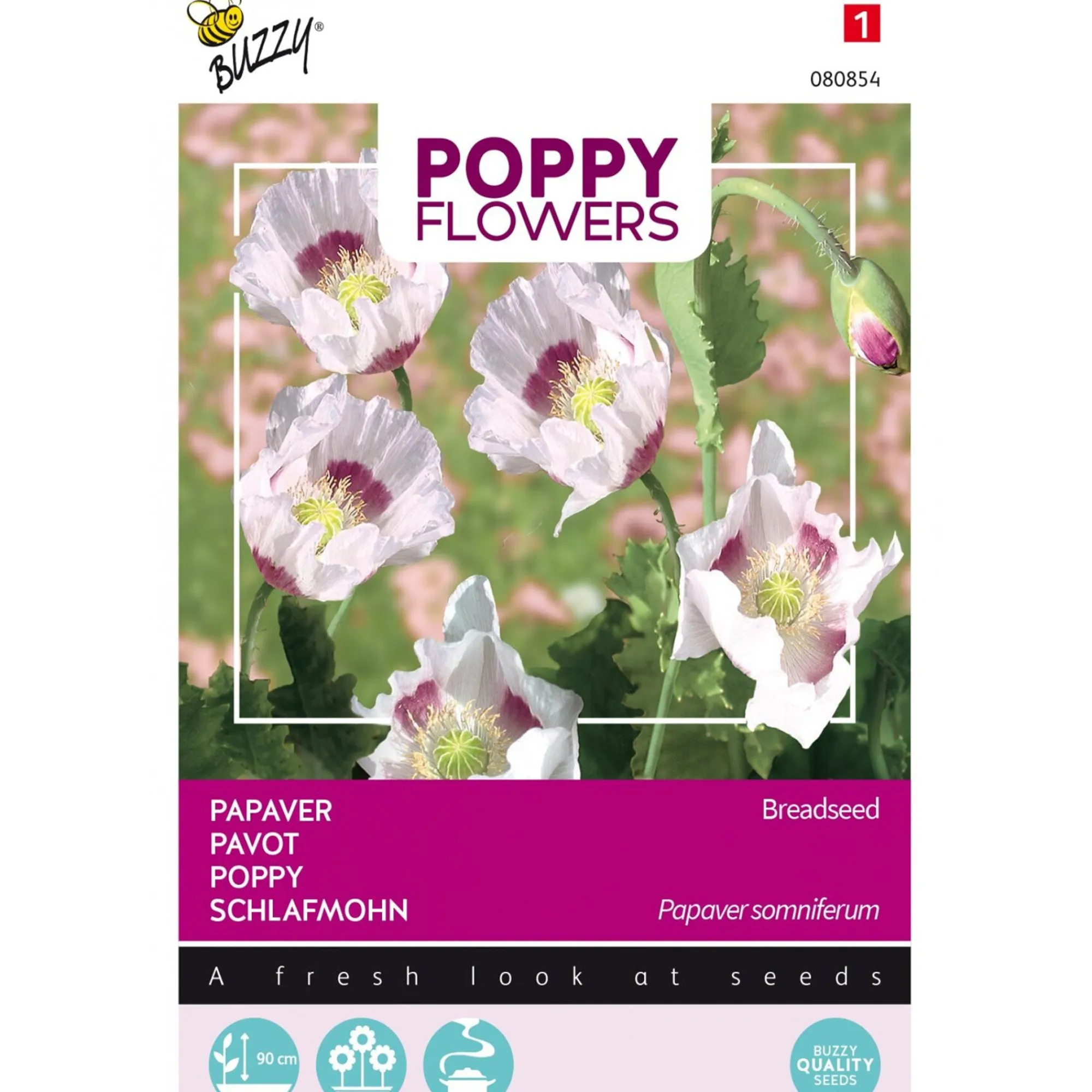 Buzzy Moestuin>Papaver Blauwmaanzaad