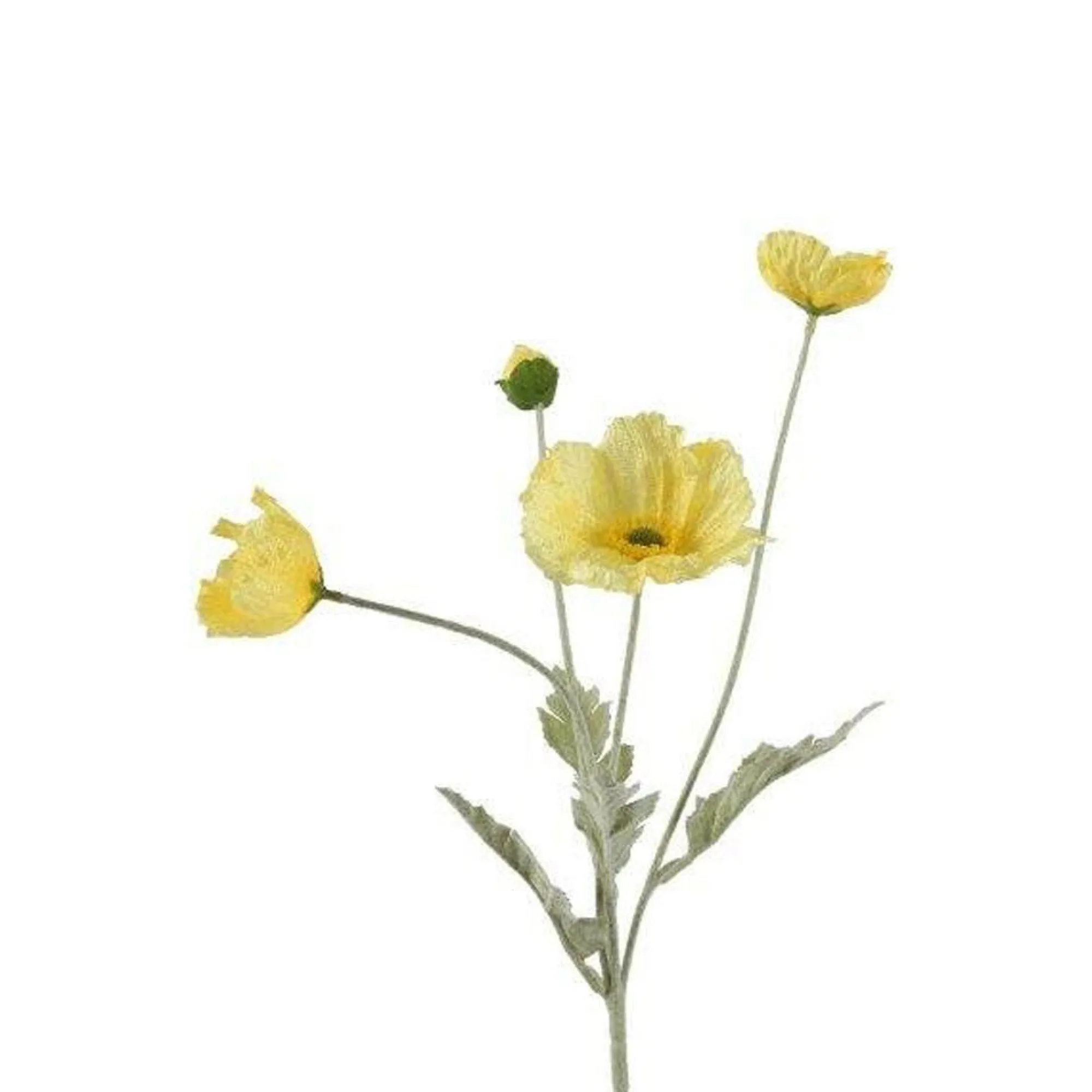 Everlands Kunstplanten En Kunstbloemen>Papaver geel 63 cm
