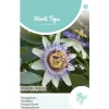 Horti Tops Moestuin>Passiebloem