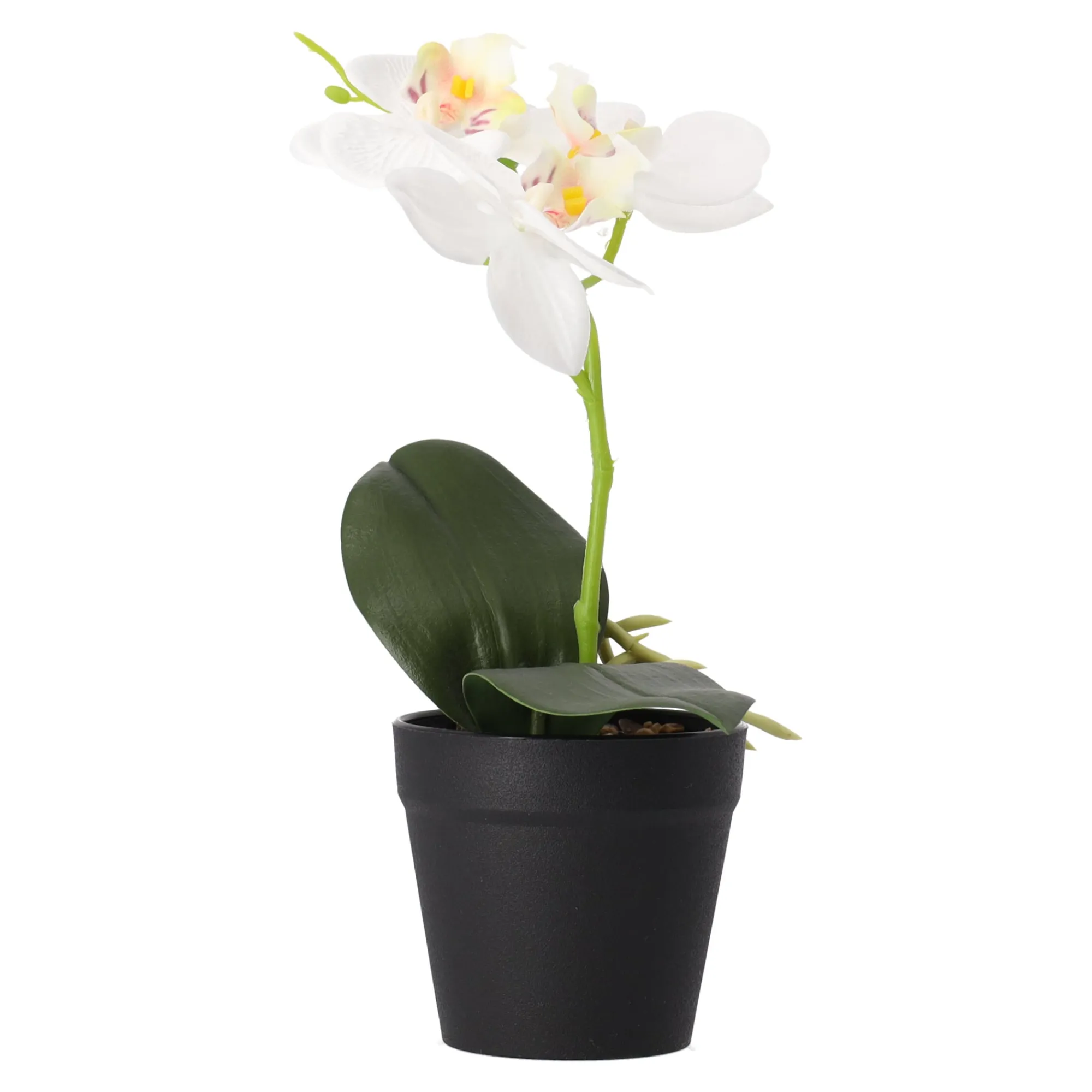 Kunstplanten En Kunstbloemen>Phalaenopsis in pot wit 25 x 15 cm