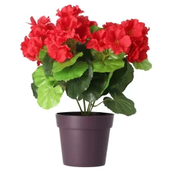 O'malley Kunstplanten En Kunstbloemen>Plant B 4 assorti
