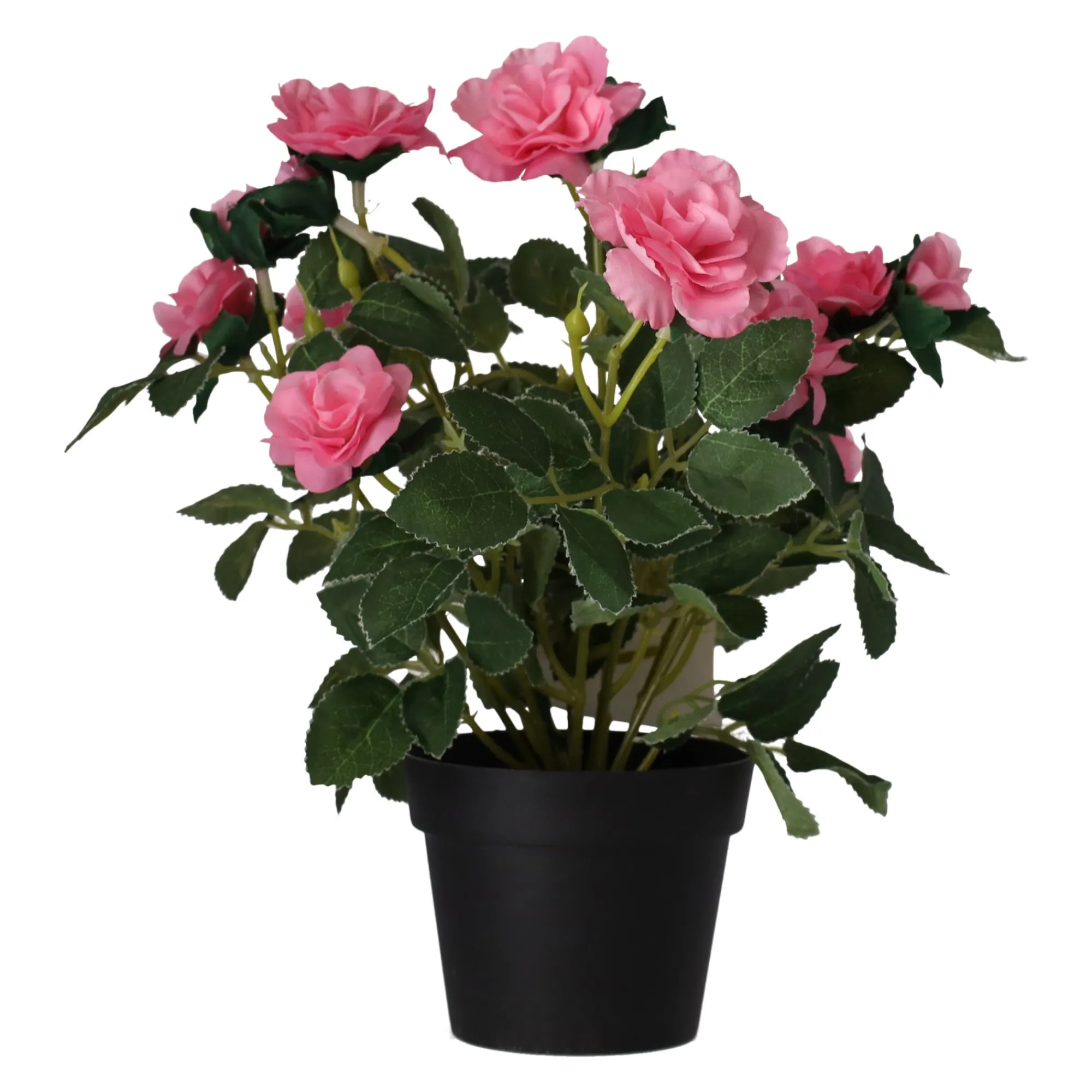 O'malley Kunstplanten En Kunstbloemen>Plant met roos, 3 assorti
