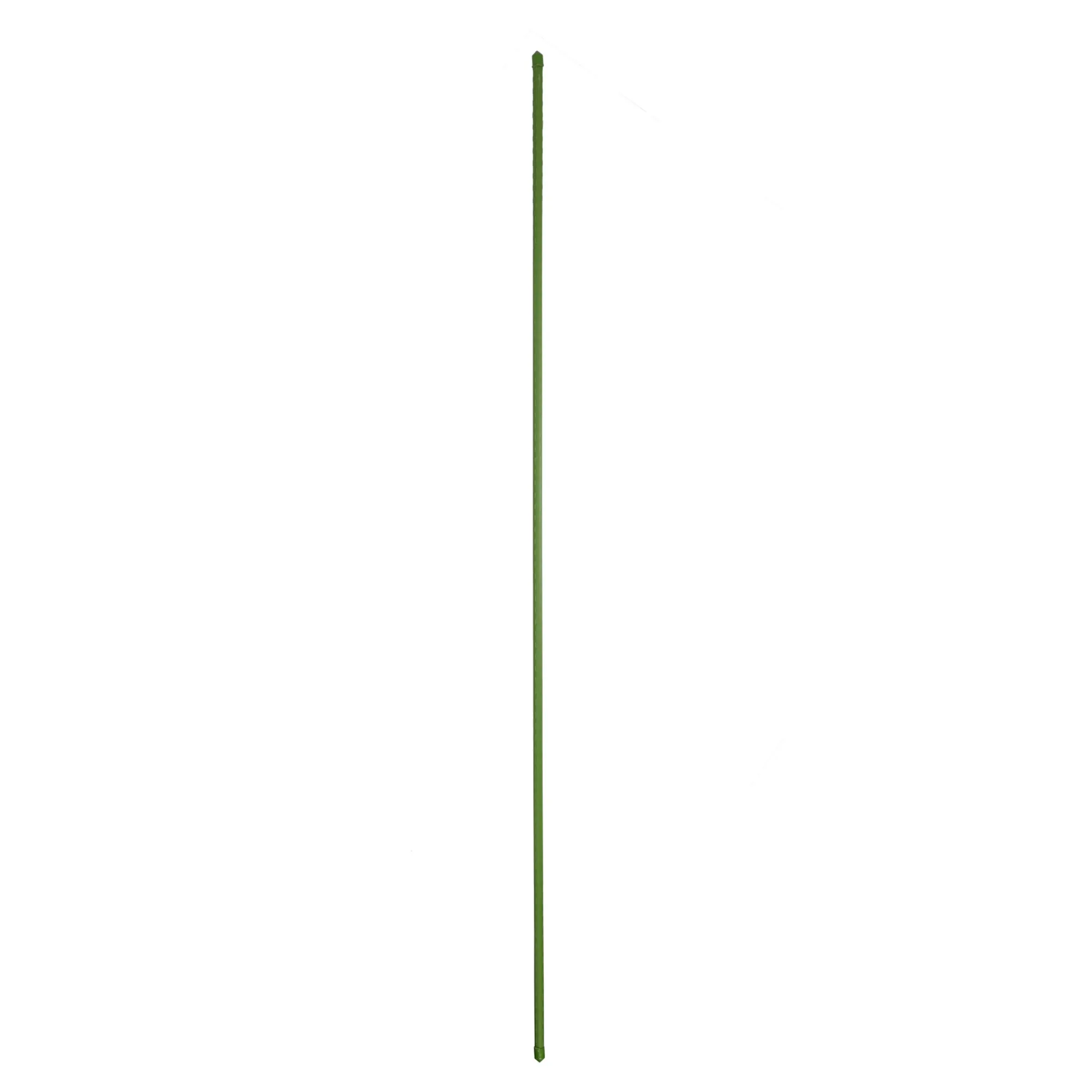 Bel Garden Moestuin>Plantenstok groen 16mmx180cm