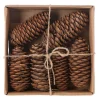 Natural Collections Woondecoratie>Raicone nature 6st