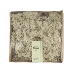 Natural Collections Woondecoratie>Rendiermos naturel 250g