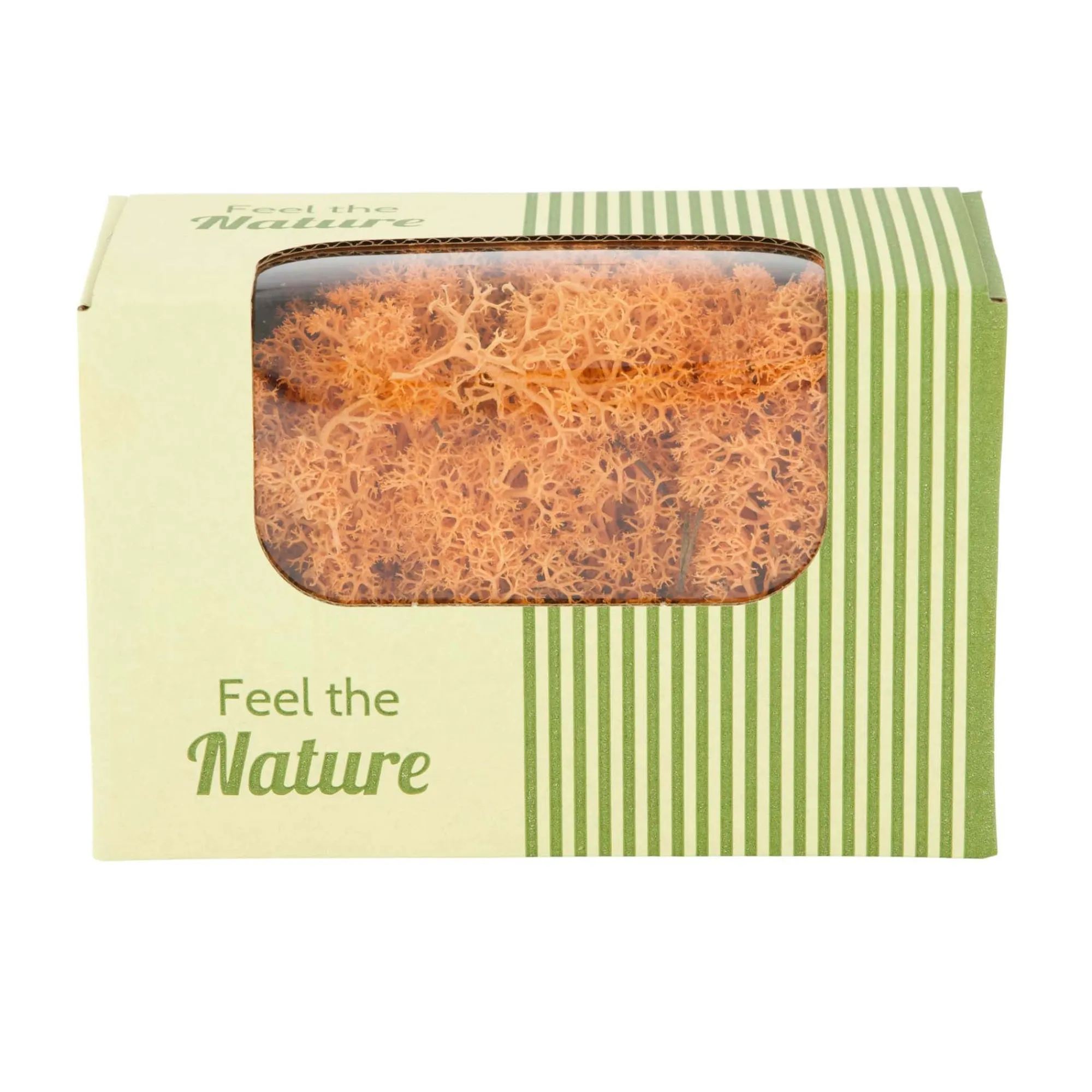 Natural Collections Woondecoratie>Rendiermos oranje 50g