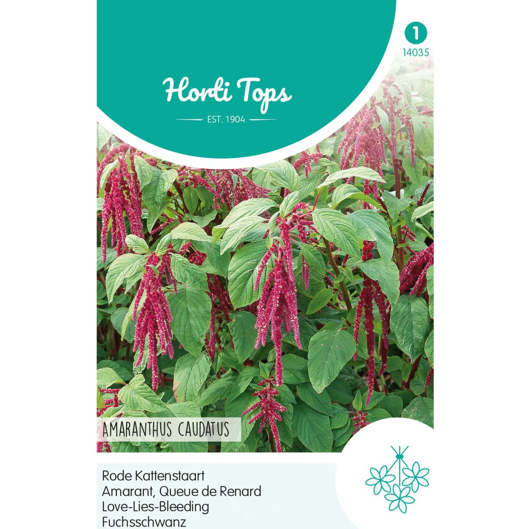 Horti Tops Moestuin>Rode Kattenstaart