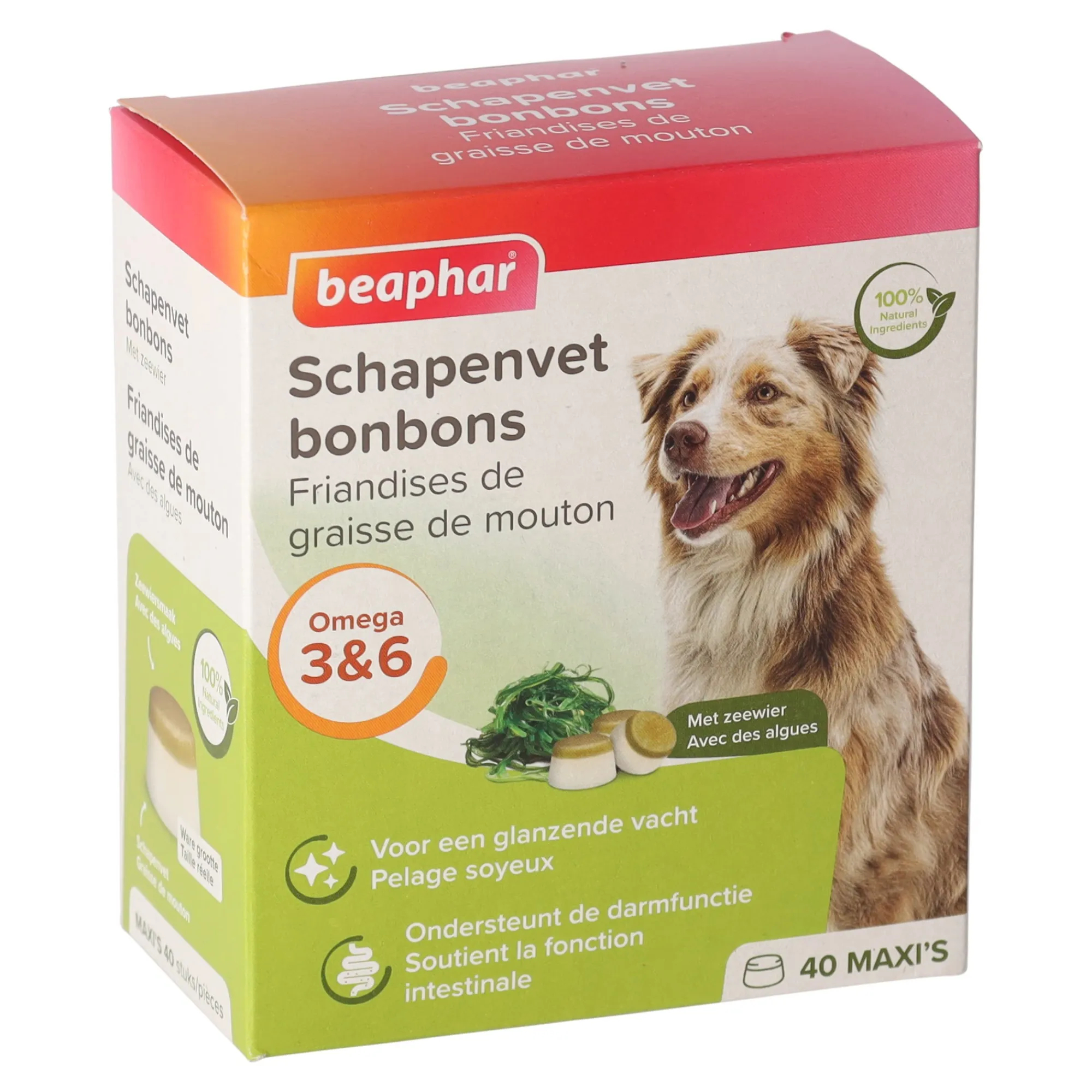 Beaphar Hondensnacks>Schapenvet bonbons zeewier