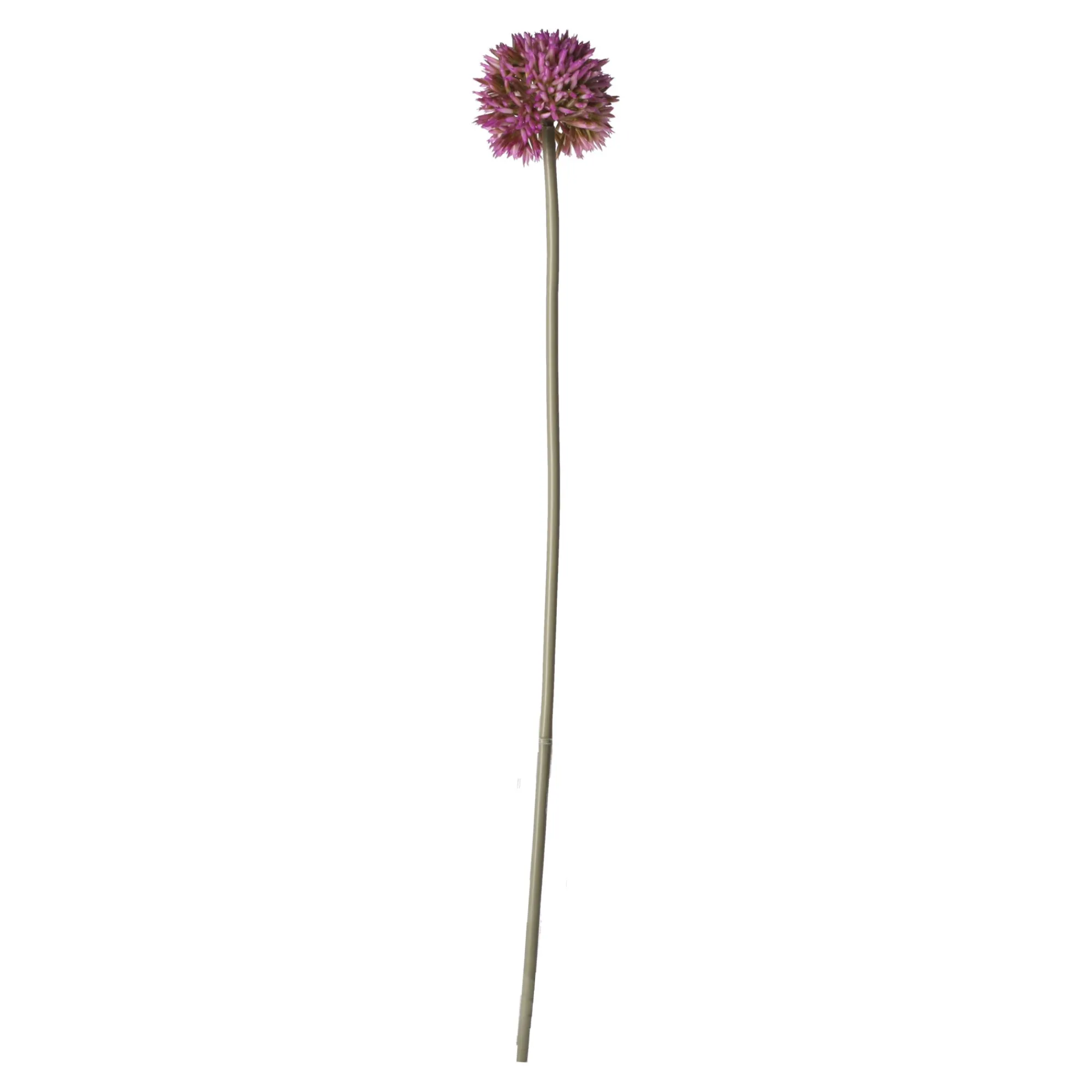 O'malley Kunstplanten En Kunstbloemen>Sierui 55 cm roze