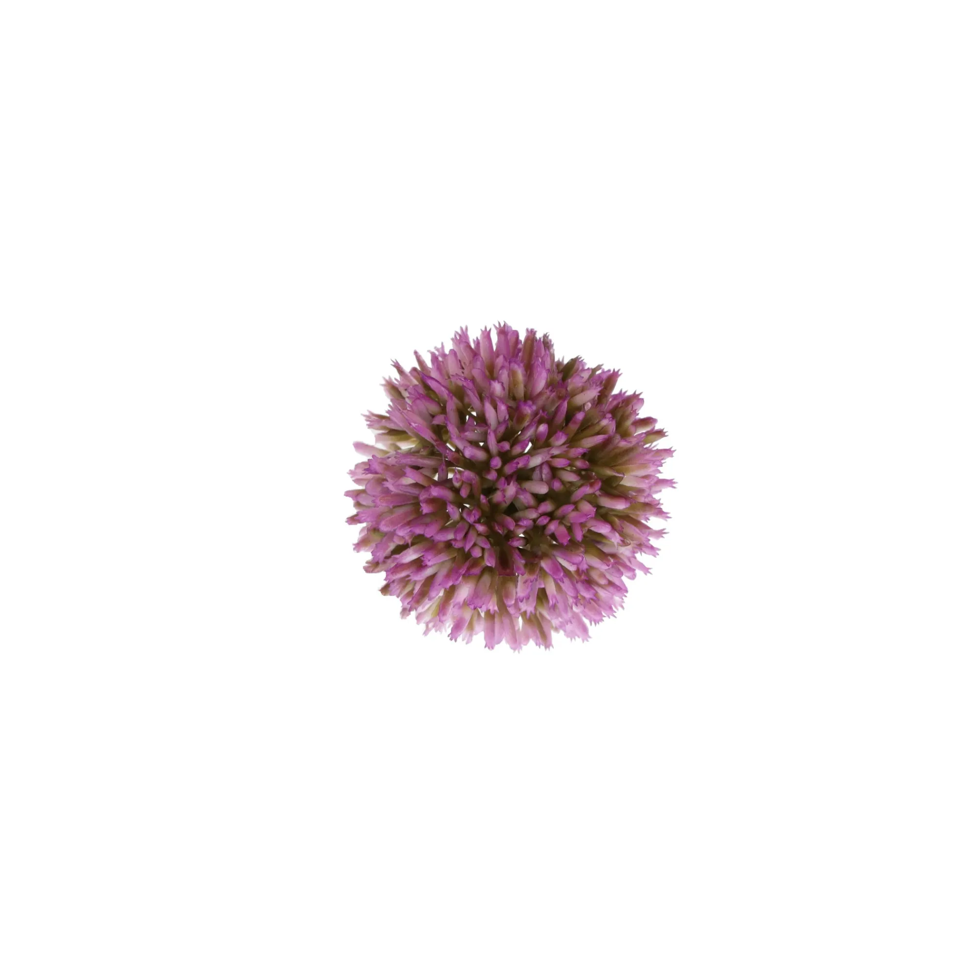 O'malley Kunstplanten En Kunstbloemen>Sierui 55 cm roze