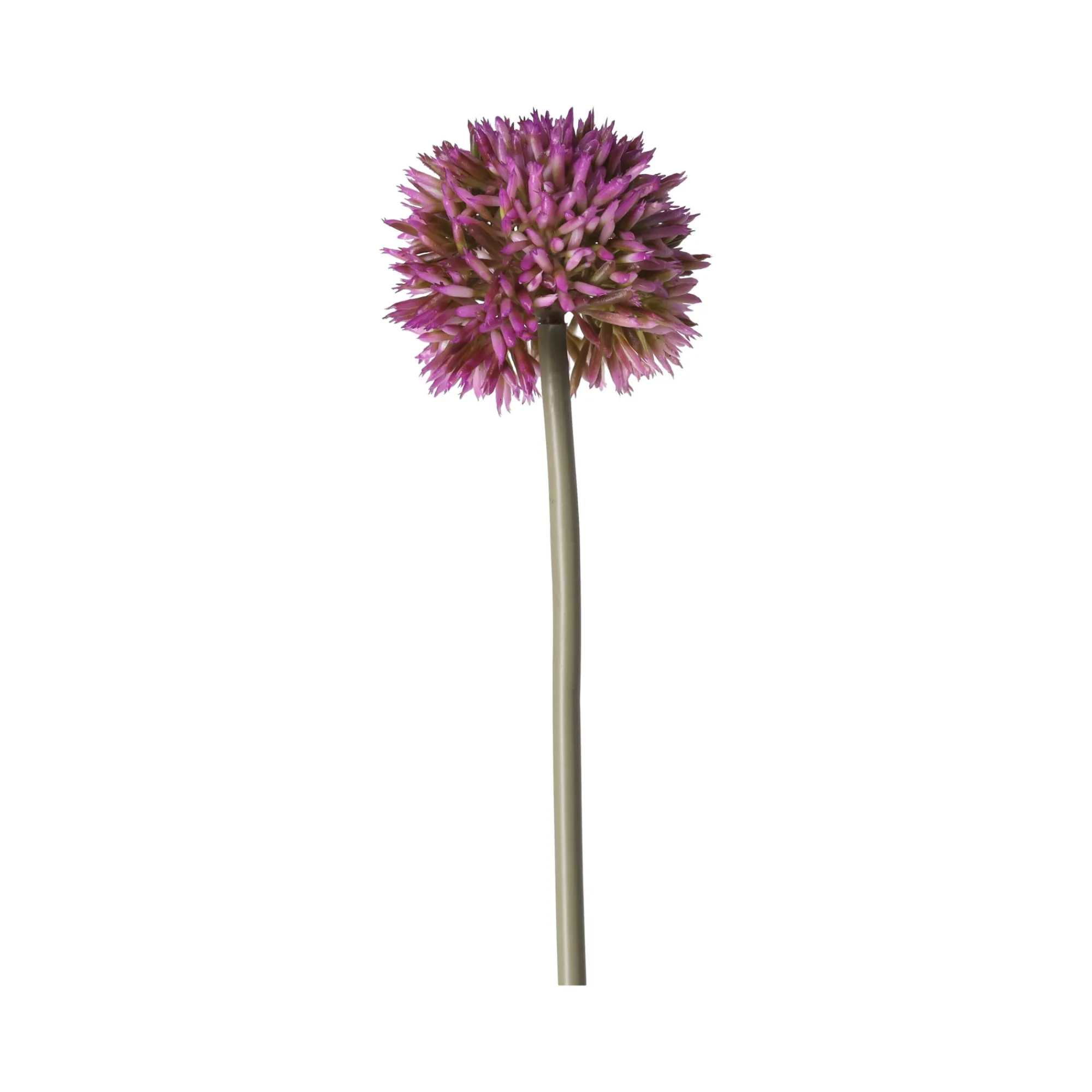O'malley Kunstplanten En Kunstbloemen>Sierui 55 cm roze