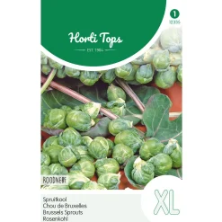 Horti Tops Moestuin>Spruitkool roodnerf