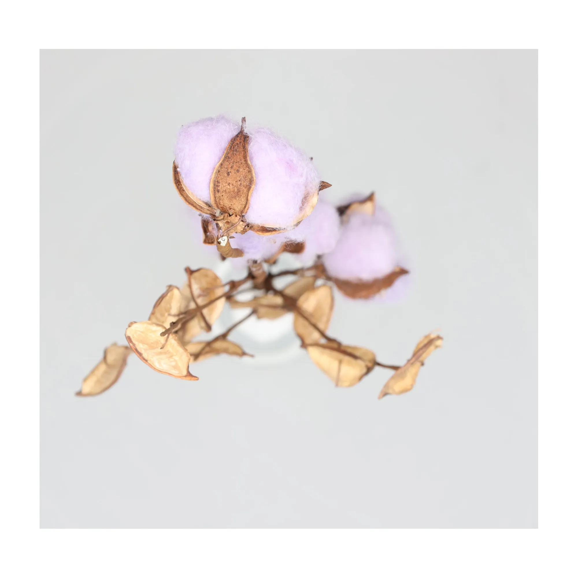 Natural Collections Kunstplanten En Kunstbloemen>Tak katoen foam lila 59 x 20 x 3 cm
