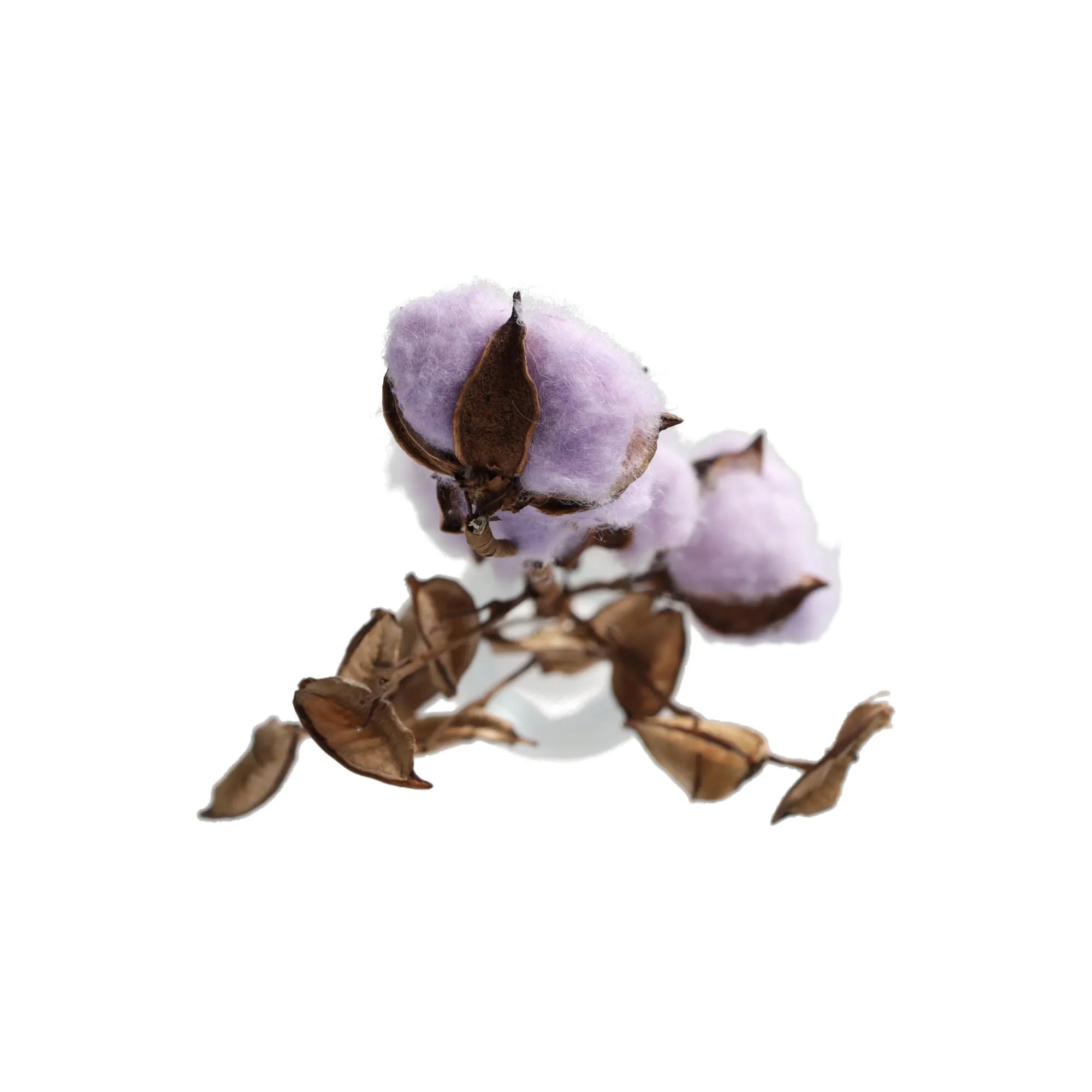 Natural Collections Kunstplanten En Kunstbloemen>Tak katoen foam lila 59 x 20 x 3 cm