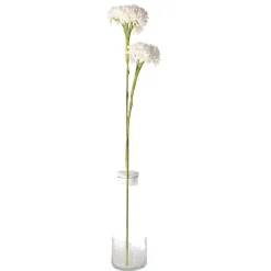 O'malley Kunstplanten En Kunstbloemen>Tak klauw wit 87 cm