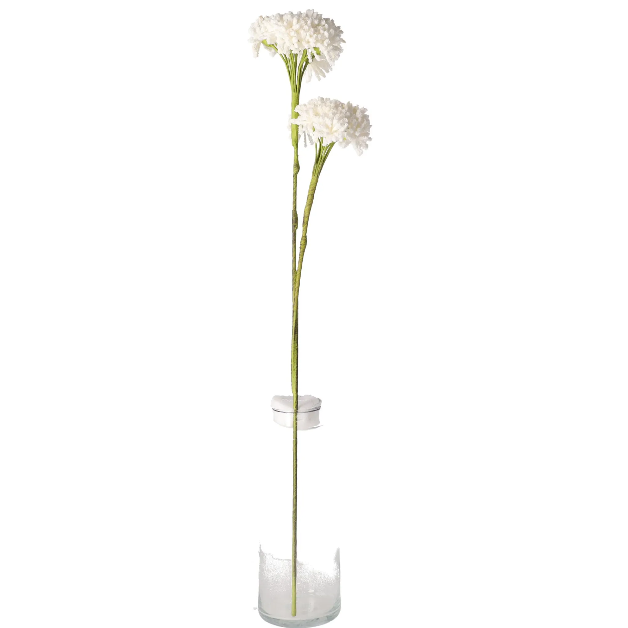 O'malley Kunstplanten En Kunstbloemen>Tak klauw wit 87 cm