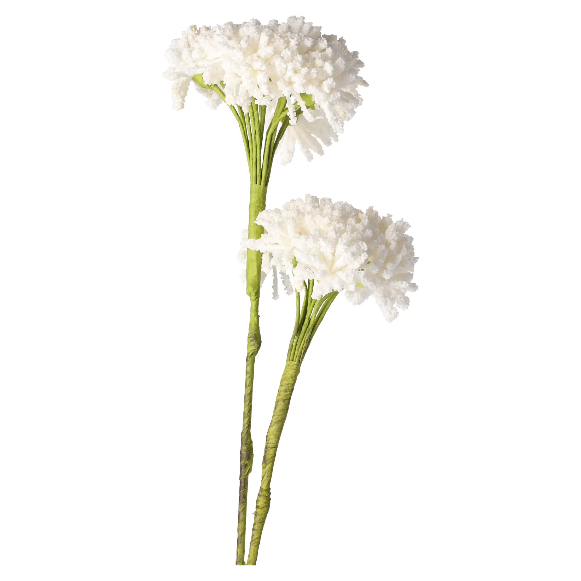 O'malley Kunstplanten En Kunstbloemen>Tak klauw wit 87 cm