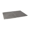 Friendly Pet Hondenmand>Vetbed 50x70cm grijs FP