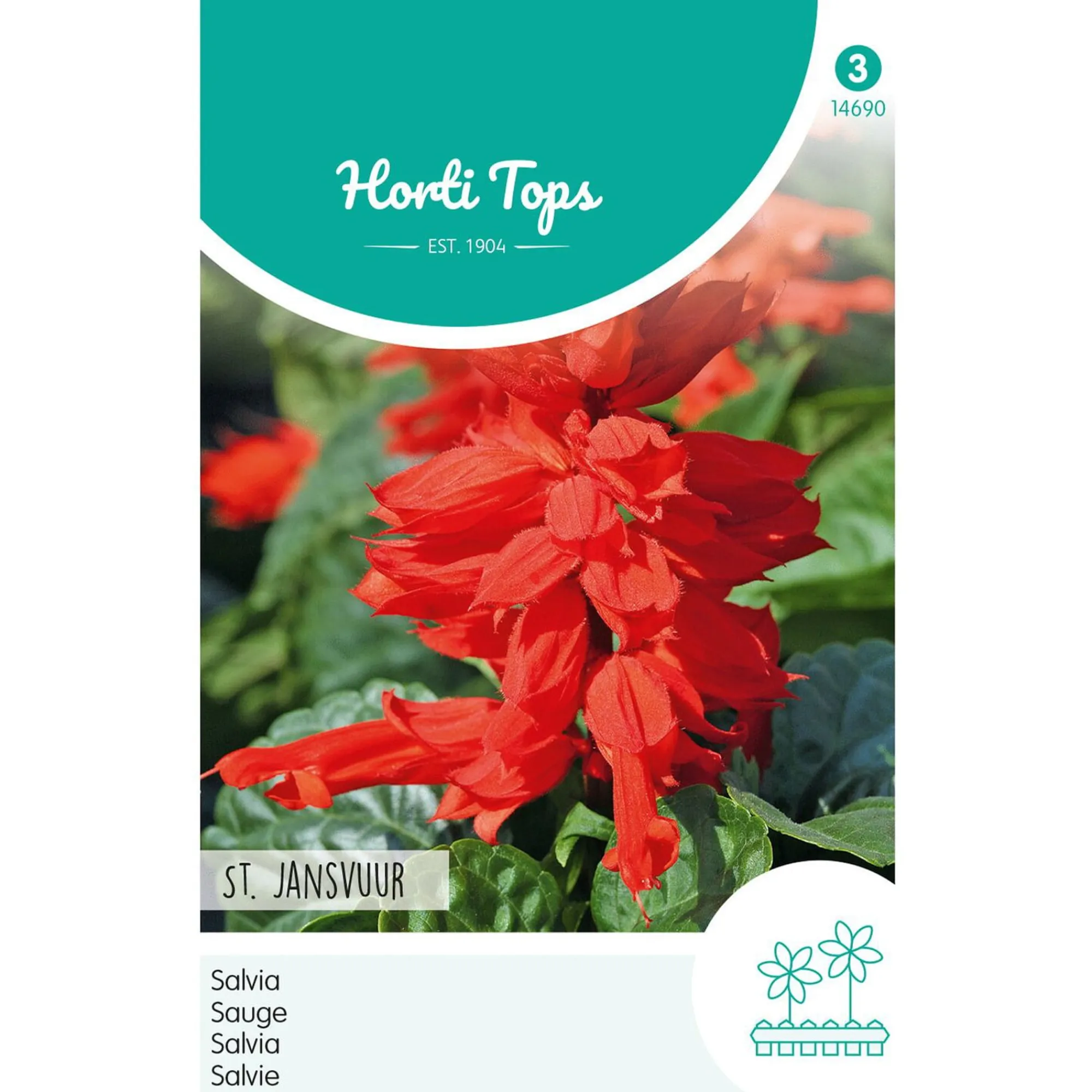 Horti Tops Moestuin>Vuursalie St. Jansvuur