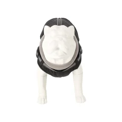 Friendly Pet Hondenjas><noscript><img width=