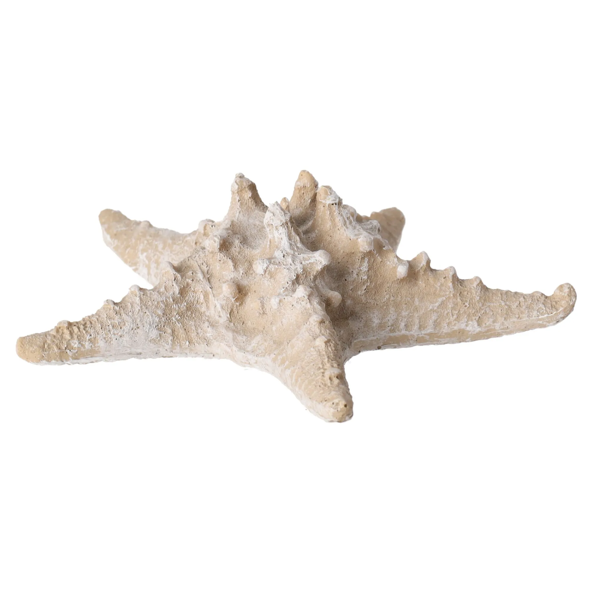 Natural Collections Woondecoratie>Zeester 19 cm 2 assorti