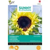Buzzy Moestuin>Zonnebloem Moonwalker