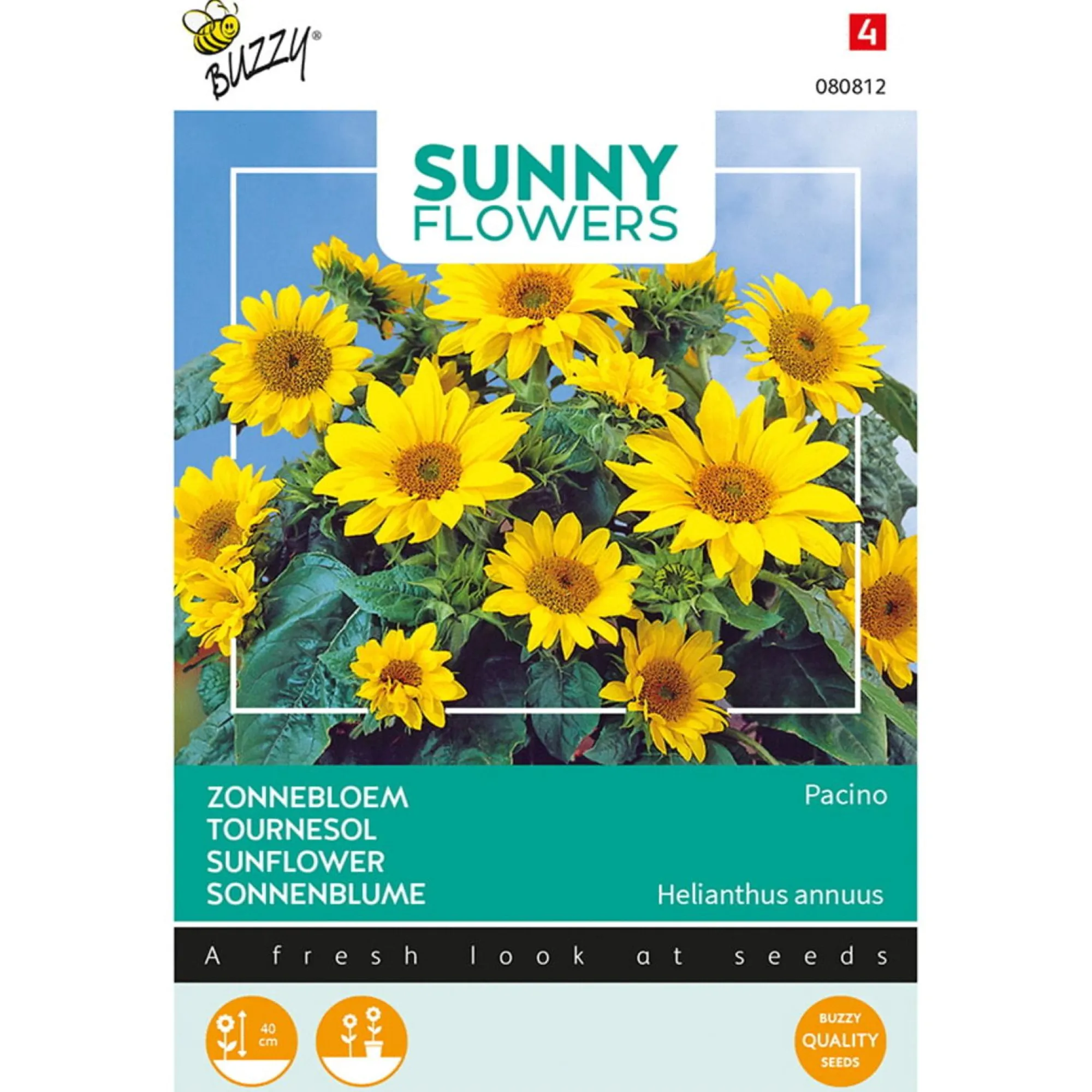 Buzzy Moestuin>Zonnebloem Pacino Gold